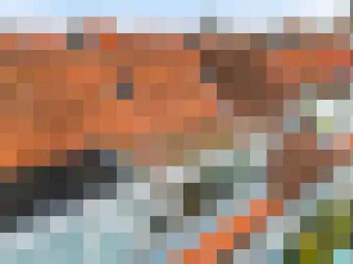 Julianastraat 56 Leiden thumbnail 28