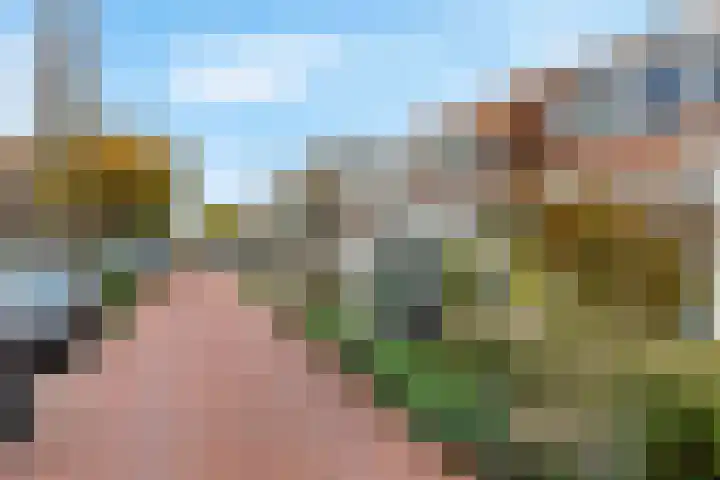 Julianastraat 56 Leiden thumbnail 30