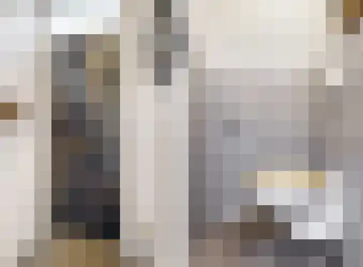 Julianastraat 56 Leiden thumbnail 7