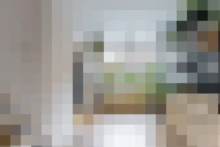 Julianastraat 56 Leiden thumbnail 9
