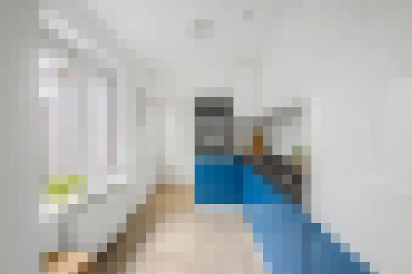 Julianastraat 59 Axel thumbnail 10