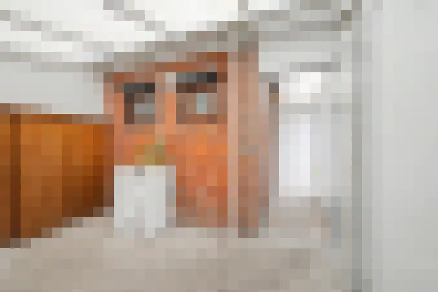 Julianastraat 59 Axel thumbnail 14