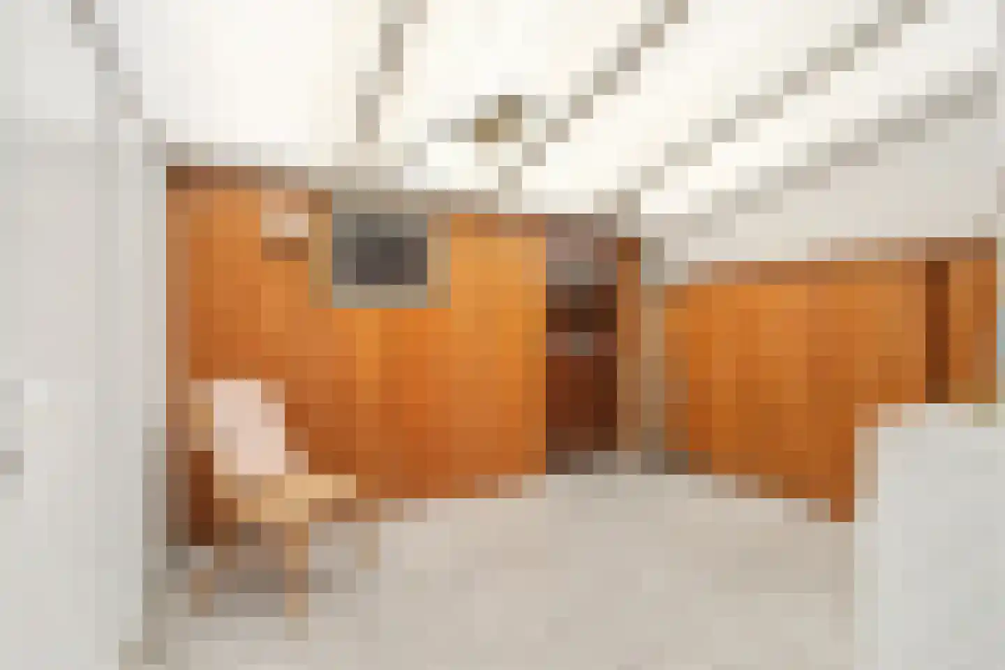 Julianastraat 59 Axel thumbnail 15
