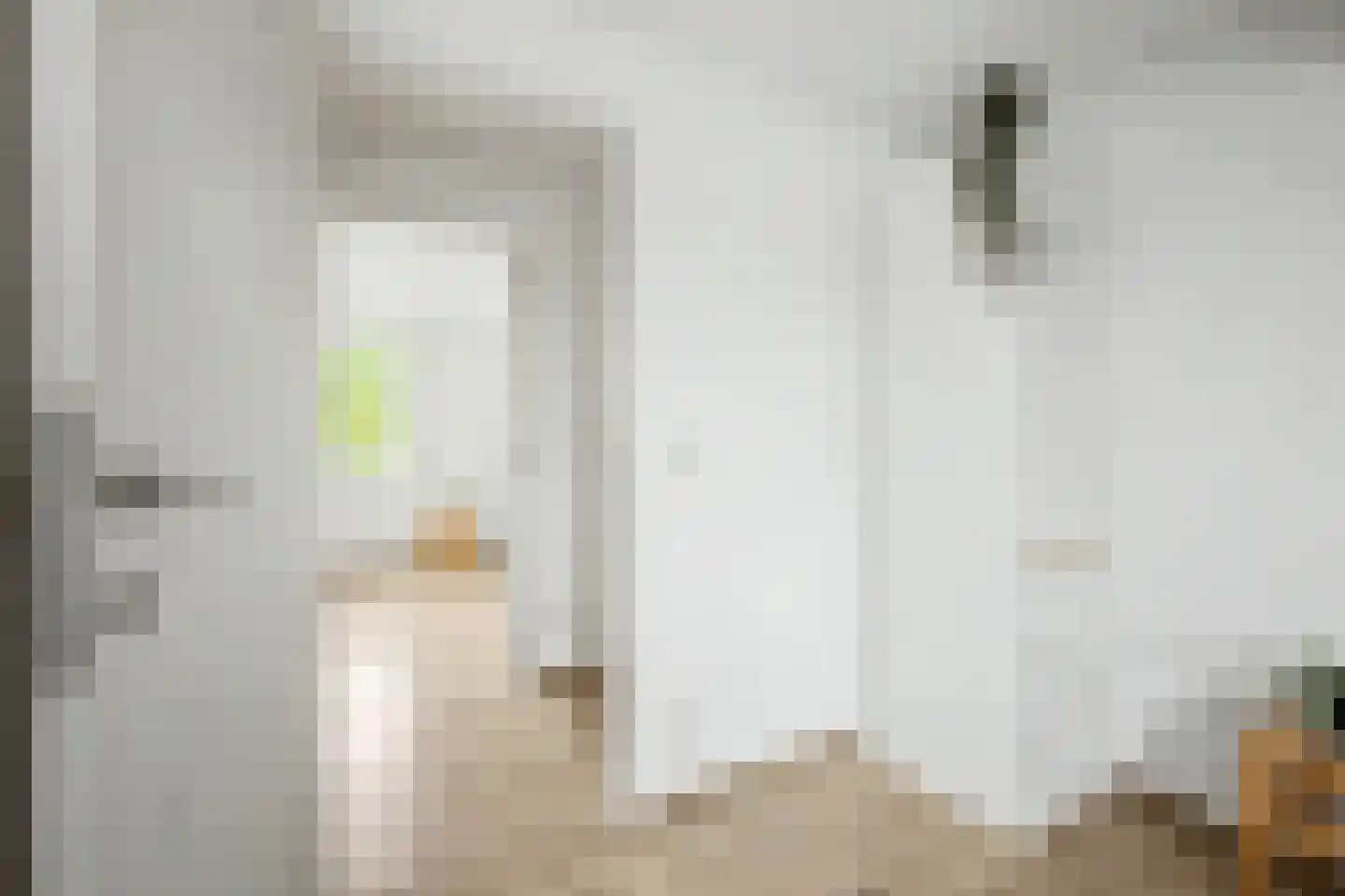 Julianastraat 59 Axel thumbnail 18