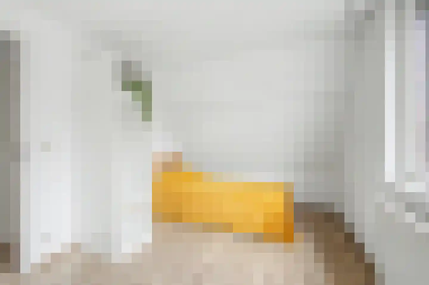Julianastraat 59 Axel thumbnail 19