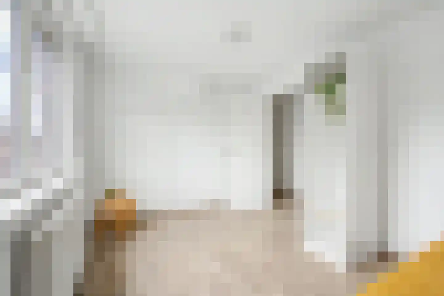 Julianastraat 59 Axel thumbnail 20