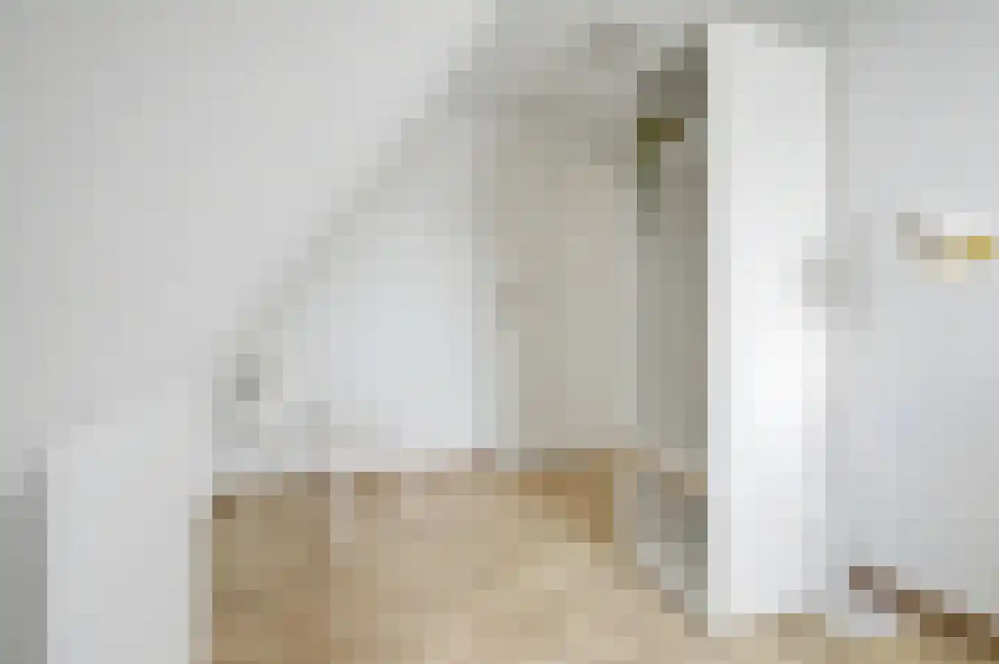 Julianastraat 59 Axel thumbnail 22