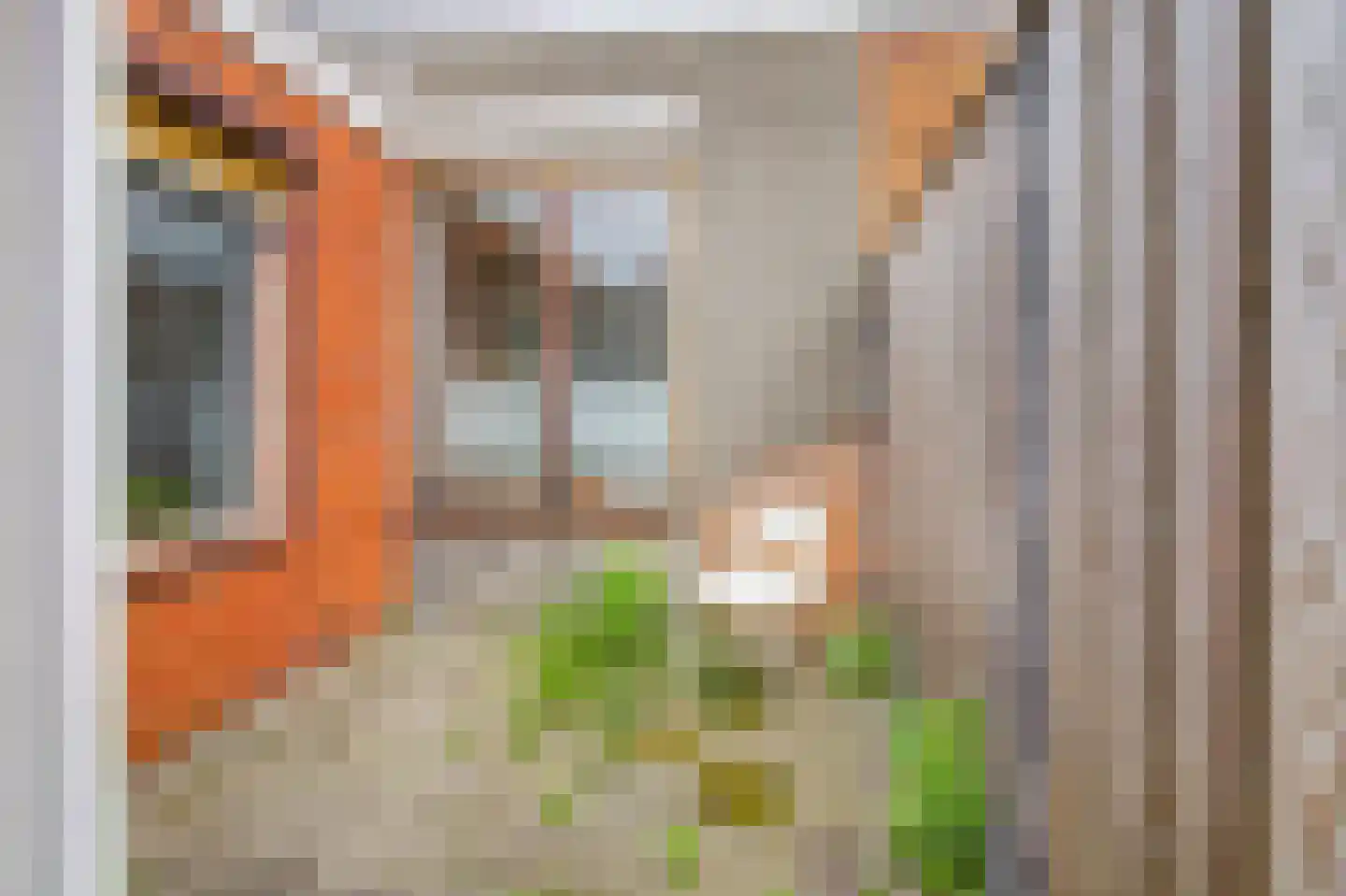 Julianastraat 59 Axel thumbnail 23