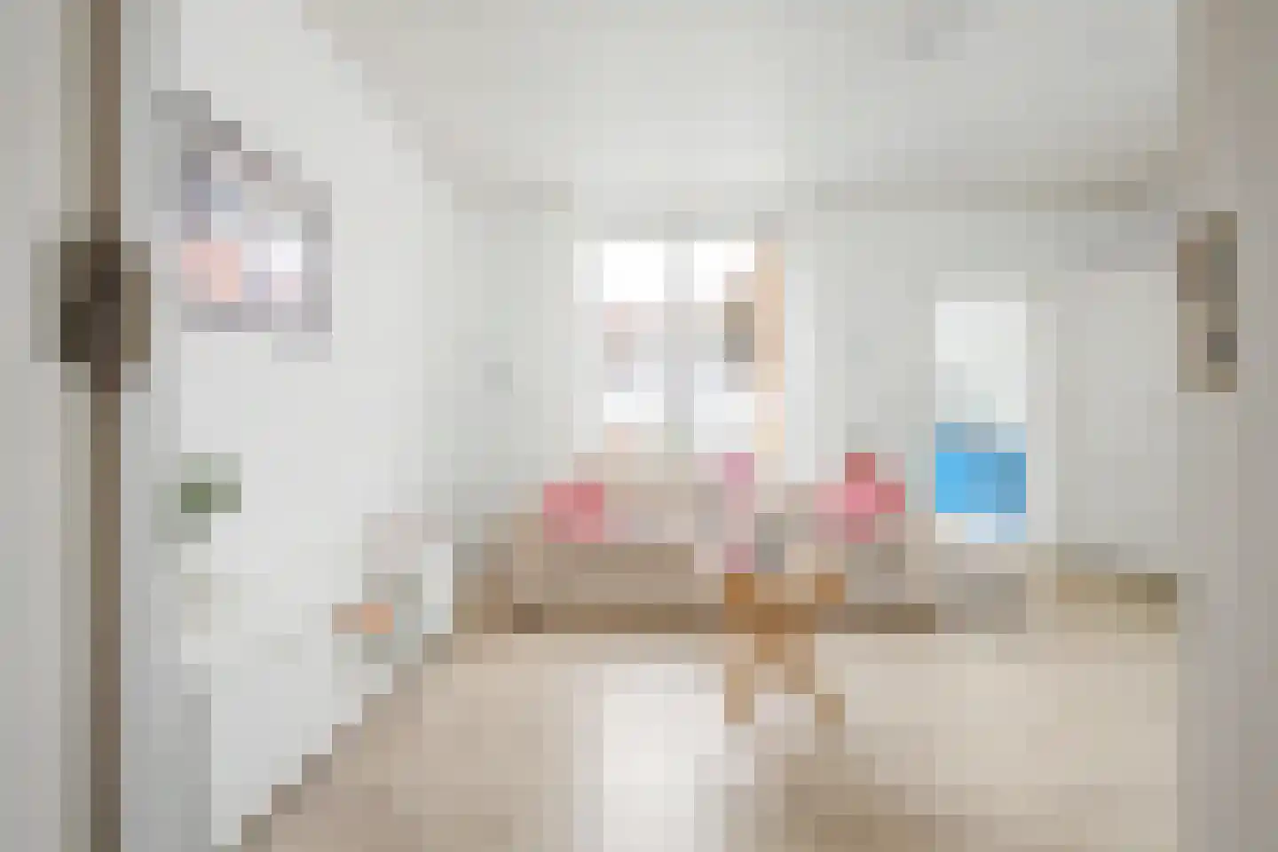 Julianastraat 59 Axel thumbnail 6