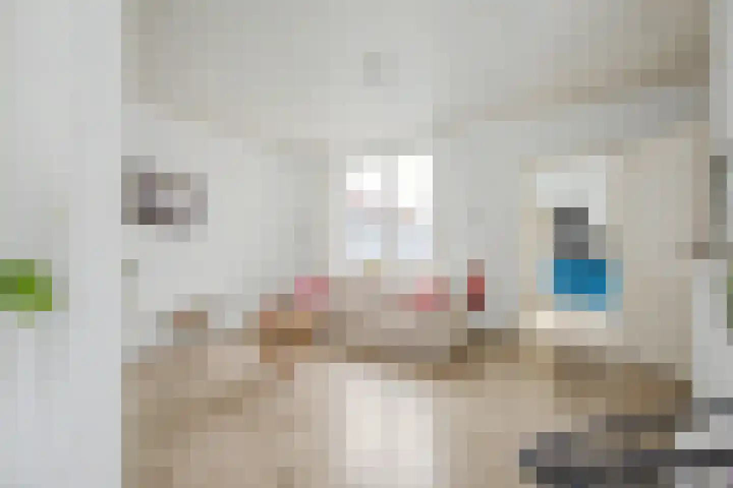 Julianastraat 59 Axel thumbnail 7