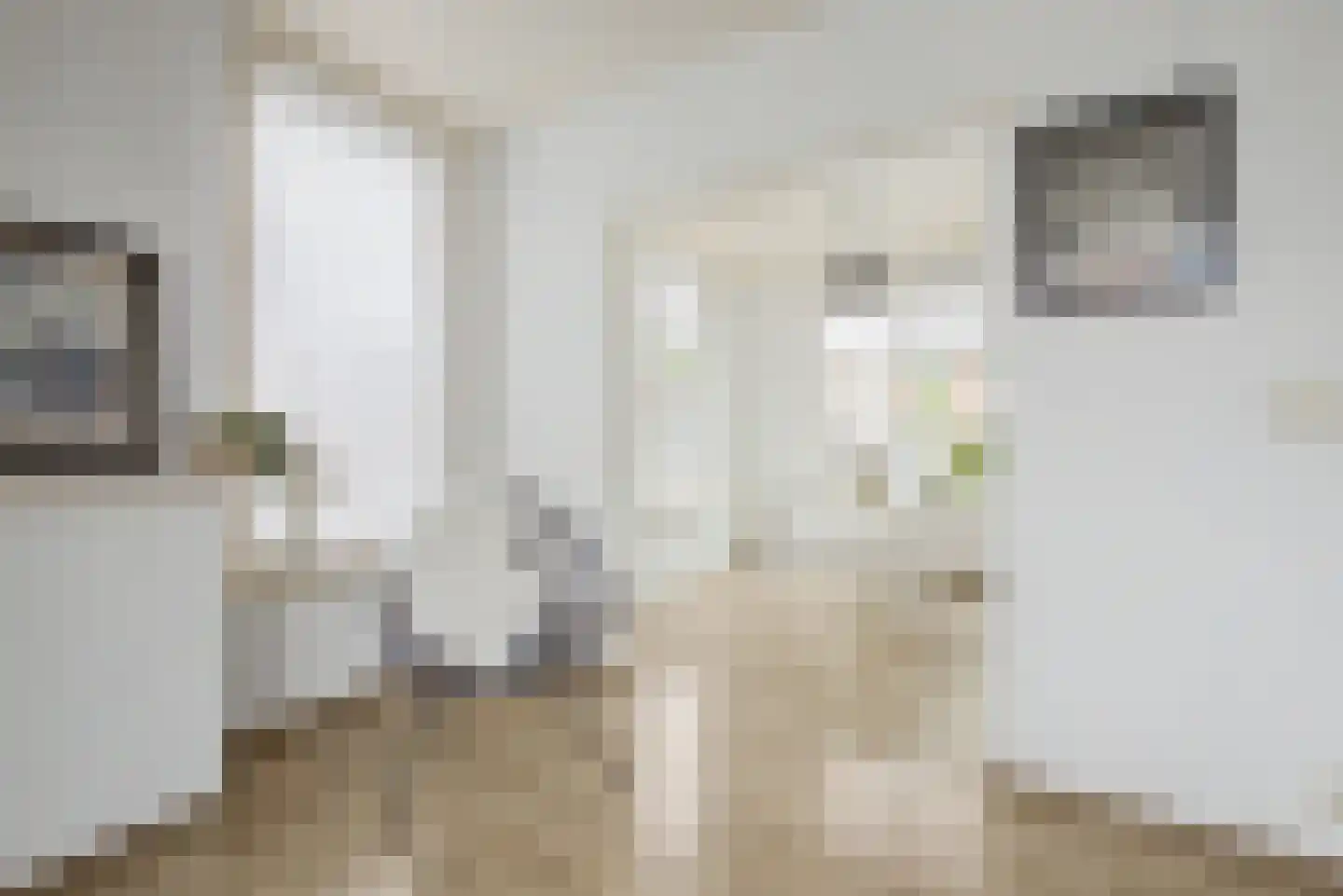 Julianastraat 59 Axel thumbnail 8