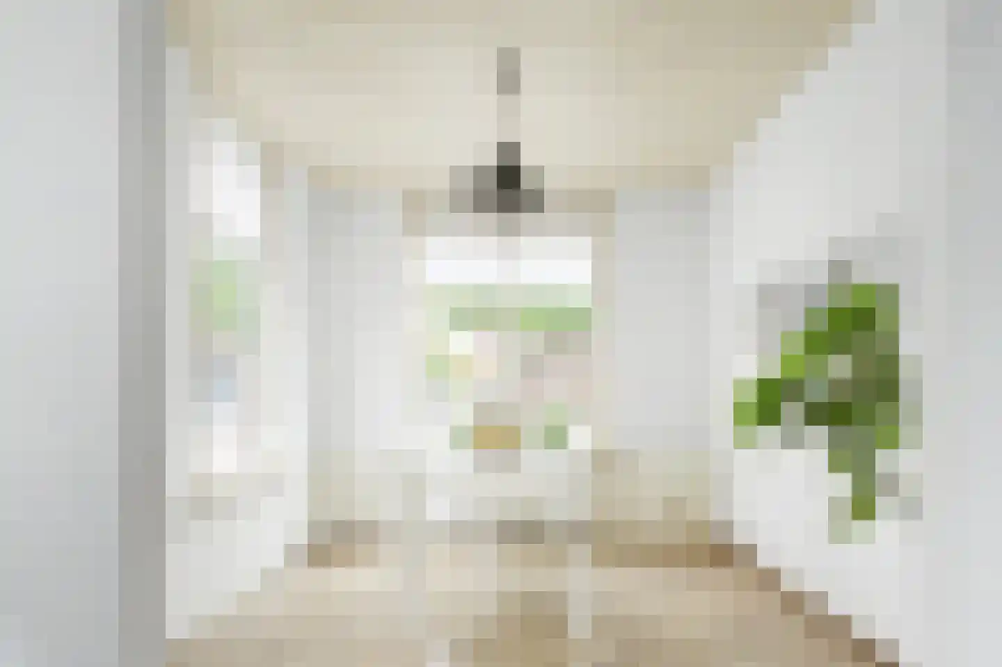 Julianastraat 59 Axel thumbnail 9