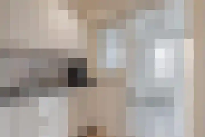 Julianastraat 6 Arum thumbnail 12