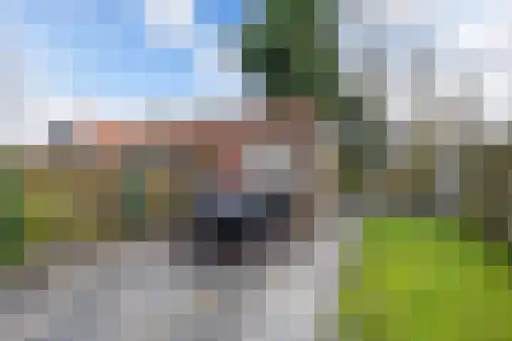 Julianastraat 6 Arum thumbnail 17