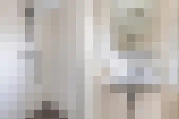 Julianastraat 6 Arum thumbnail 27