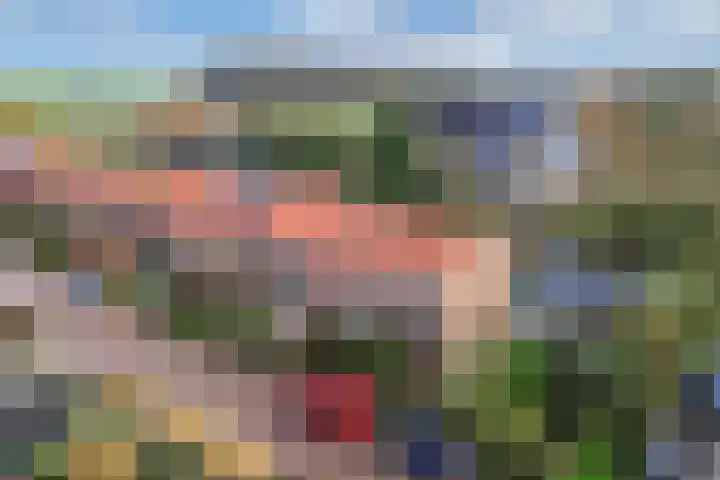 Julianastraat 6 Arum thumbnail 30