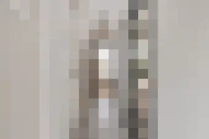 Julianastraat 6 Huissen thumbnail 11