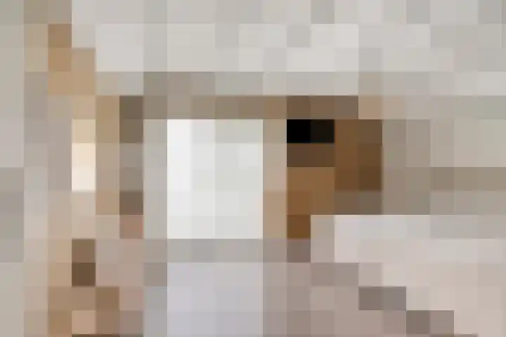 Julianastraat 6 Huissen thumbnail 17