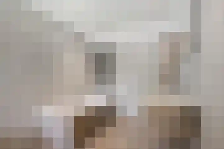 Julianastraat 6 Huissen thumbnail 27
