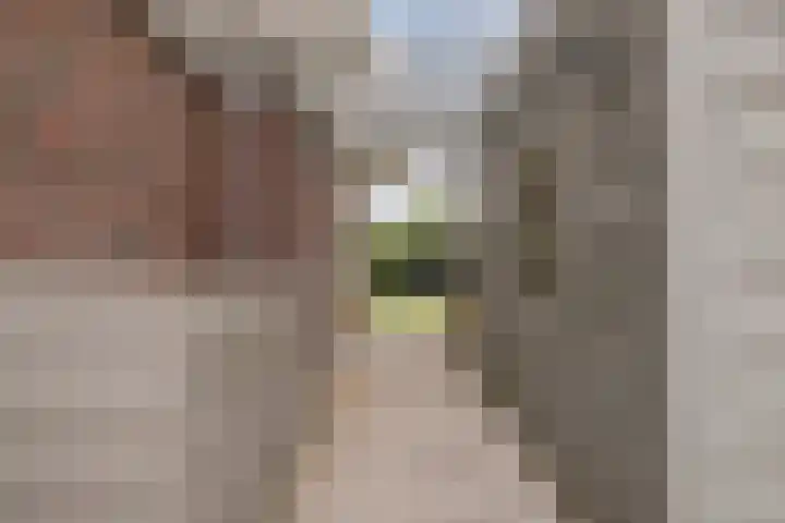 Julianastraat 6 Huissen thumbnail 31