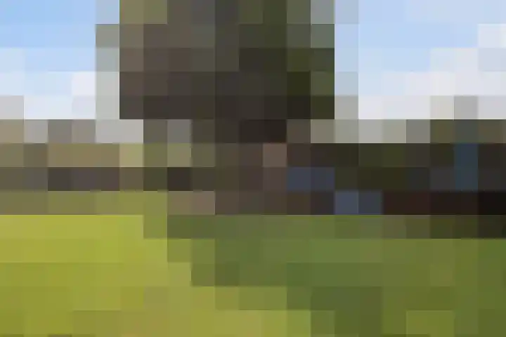 Julianastraat 6 Huissen thumbnail 33