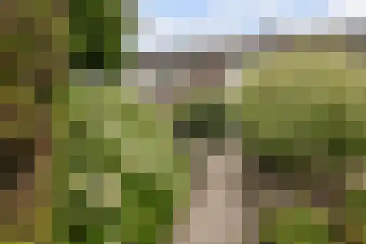 Julianastraat 6 Huissen thumbnail 34