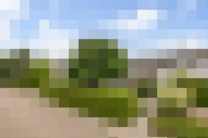 Julianastraat 6 Huissen thumbnail 35