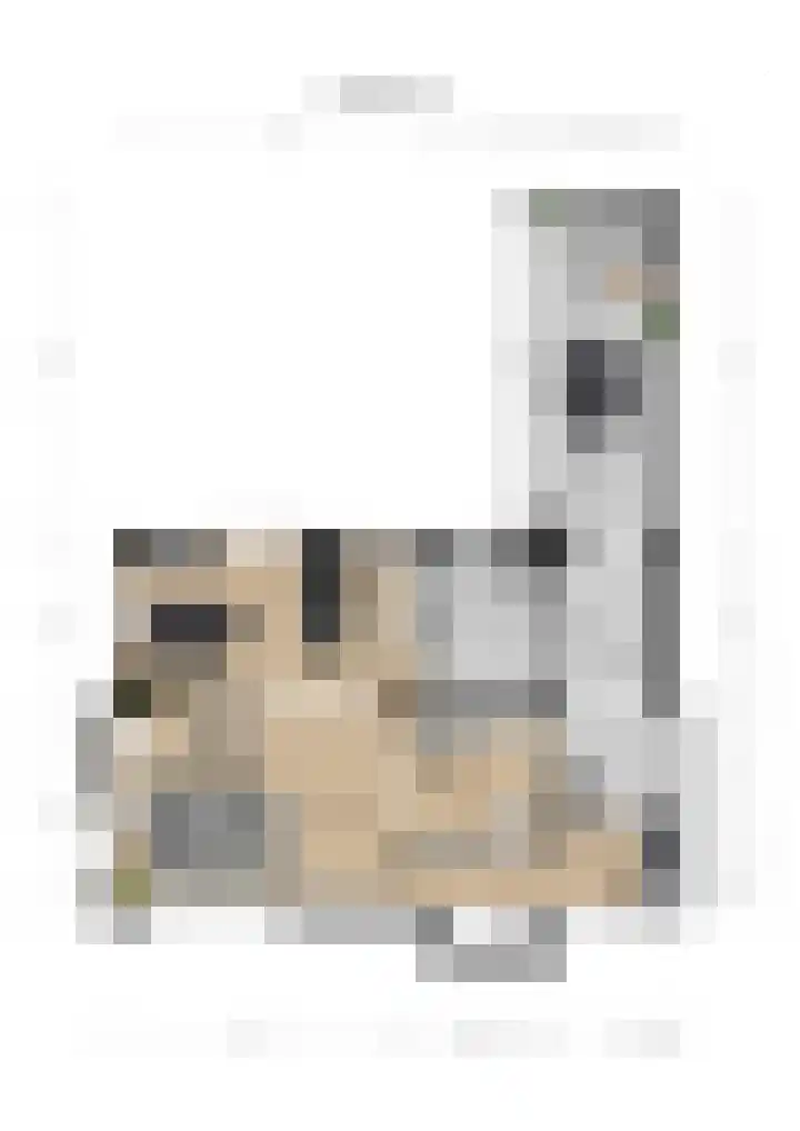 Julianastraat 6 Huissen thumbnail 38