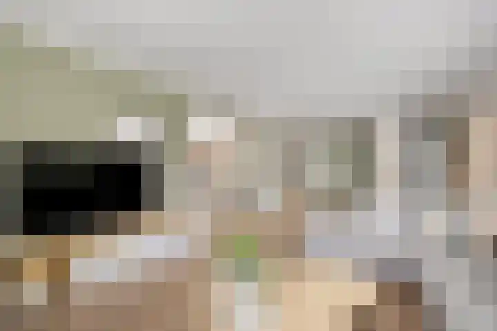 Julianastraat 6 Huissen thumbnail 4