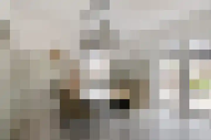 Julianastraat 6 Huissen thumbnail 8