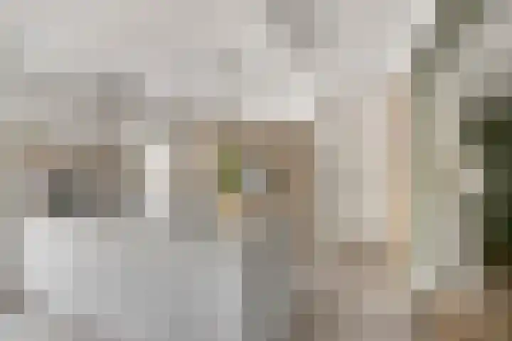 Julianastraat 6 Huissen thumbnail 9