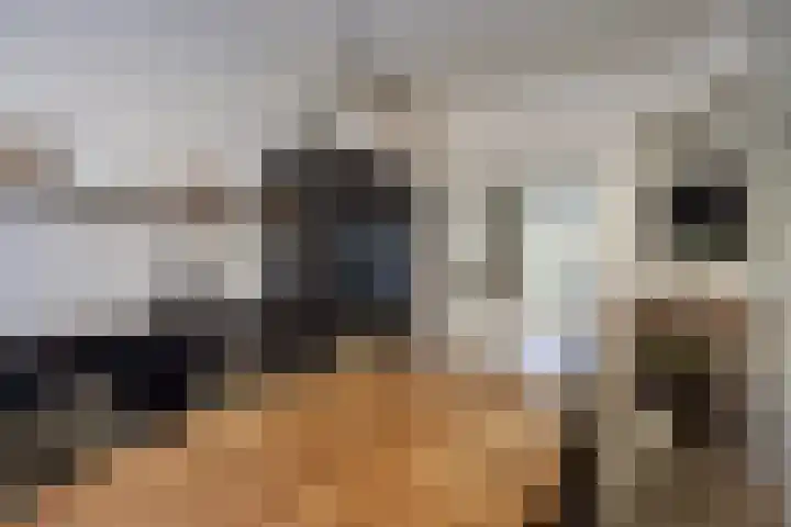 Julianastraat 6 Leiden thumbnail 10