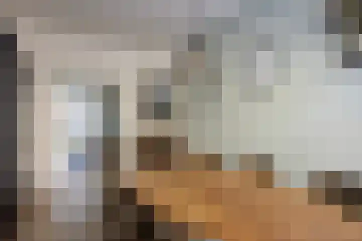 Julianastraat 6 Leiden thumbnail 11