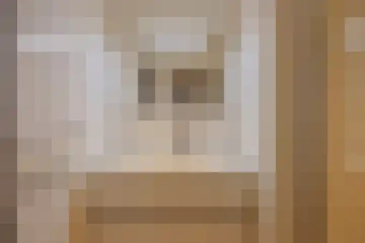 Julianastraat 6 Leiden thumbnail 17
