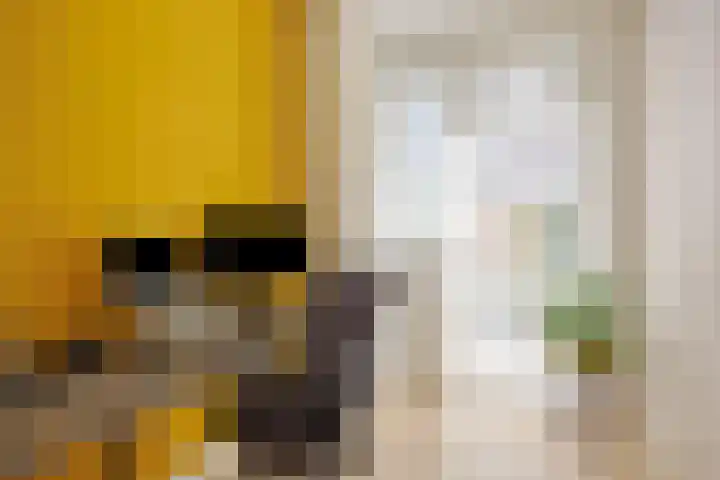 Julianastraat 6 Leiden thumbnail 22