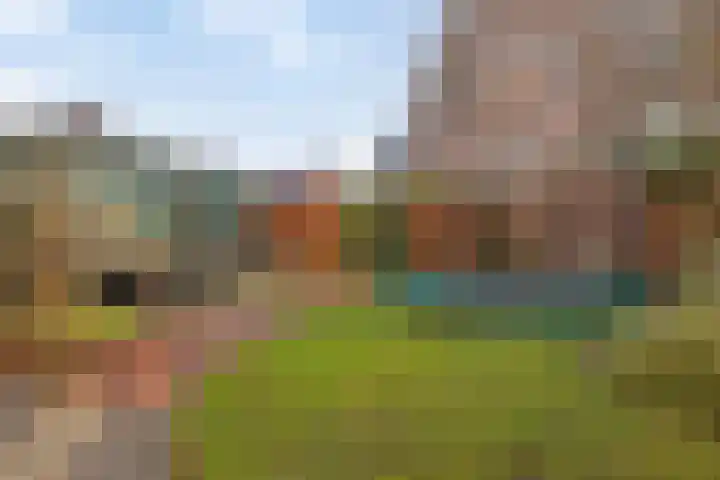 Julianastraat 6 Leiden thumbnail 24