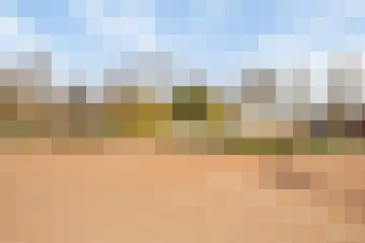 Julianastraat 6 Leiden thumbnail 31