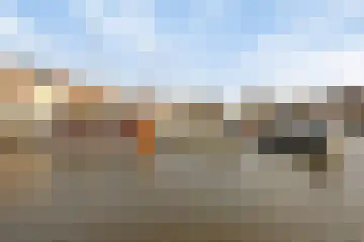 Julianastraat 6 Leiden thumbnail 32