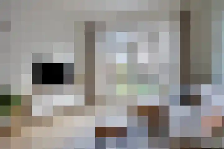 Julianastraat 6 Leiden thumbnail 5
