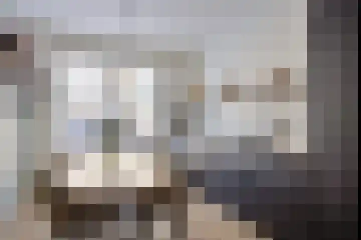 Julianastraat 6 Leiden thumbnail 8
