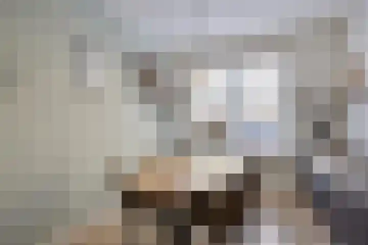 Julianastraat 6 Leiden thumbnail 9