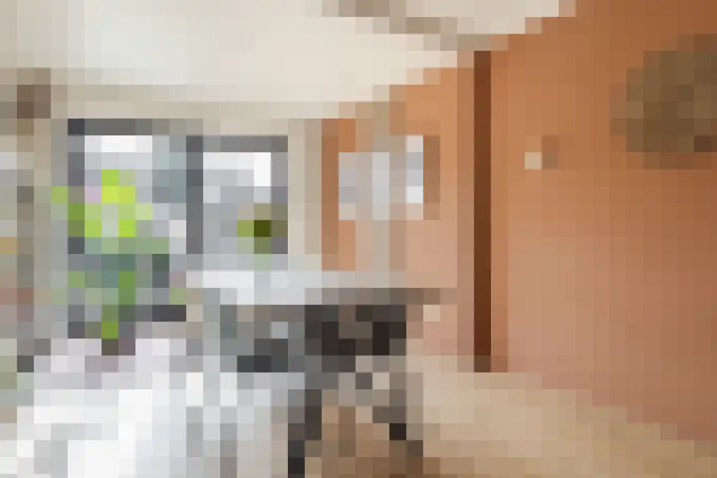 Julianastraat 6 Lichtenvoorde thumbnail 10