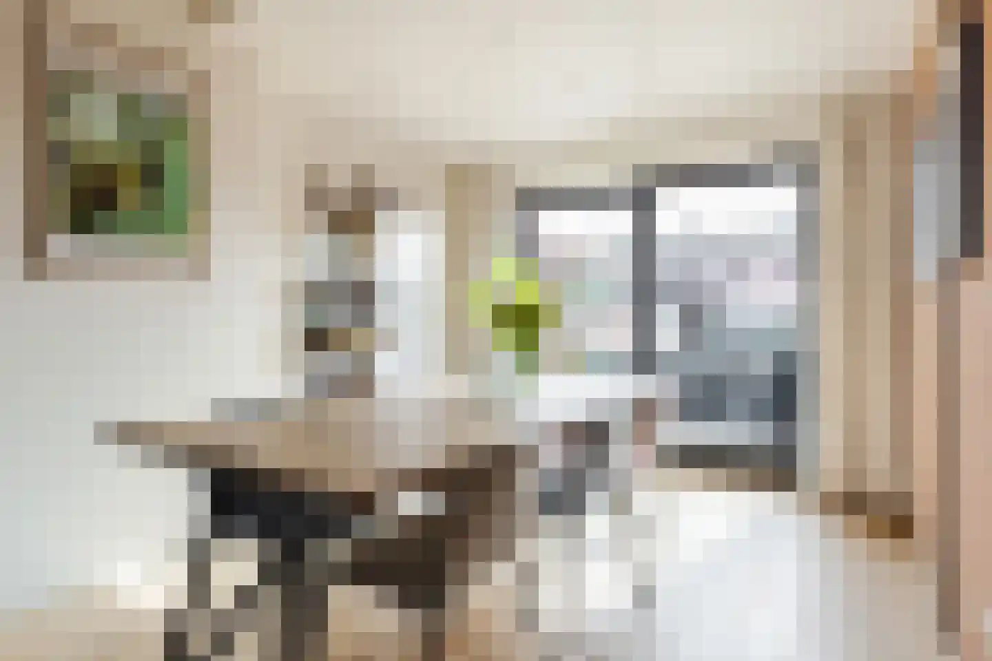 Julianastraat 6 Lichtenvoorde thumbnail 11
