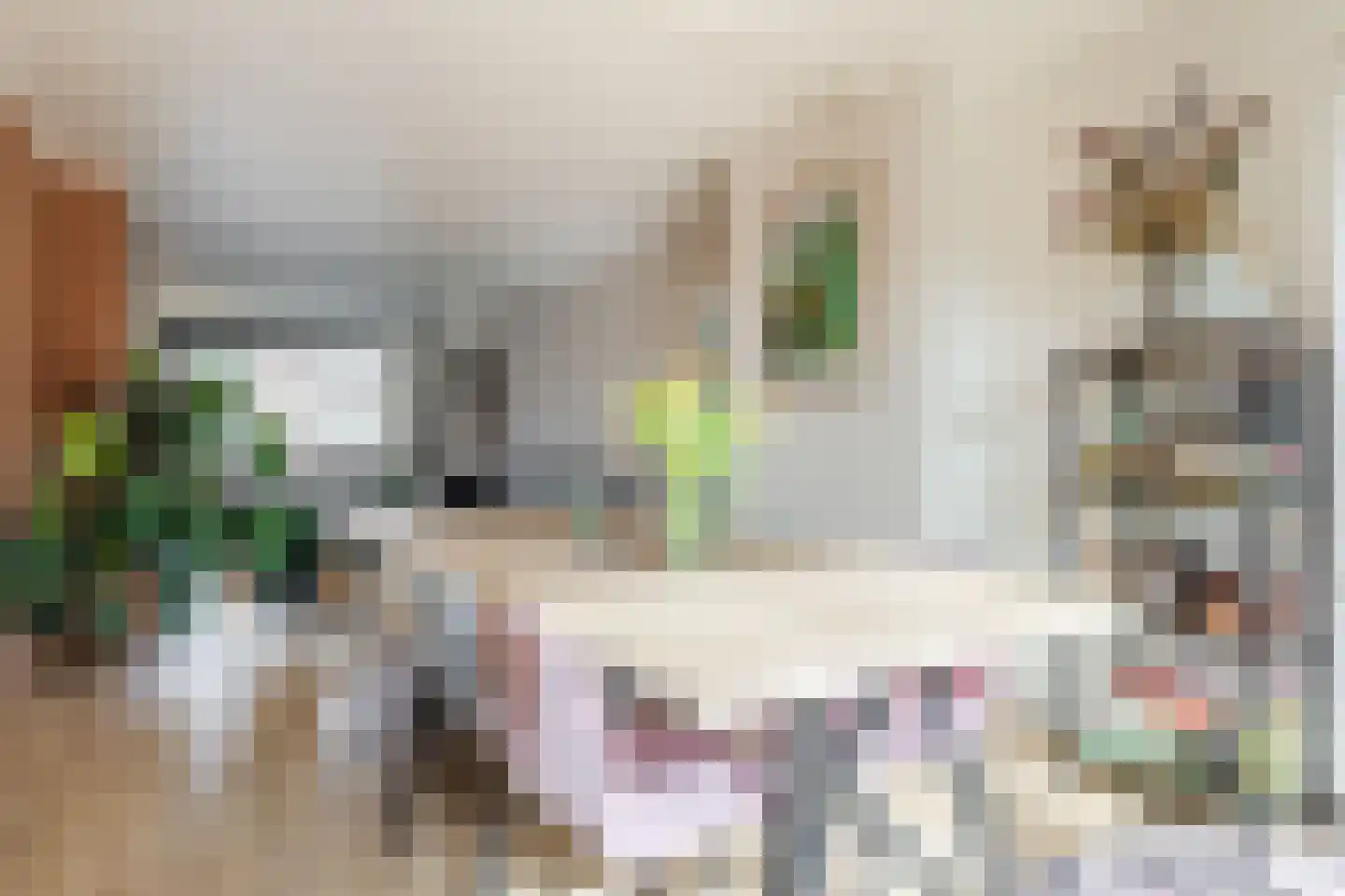 Julianastraat 6 Lichtenvoorde thumbnail 15