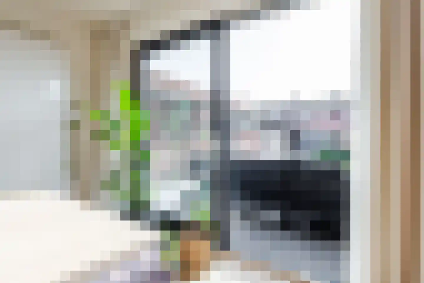 Julianastraat 6 Lichtenvoorde thumbnail 16