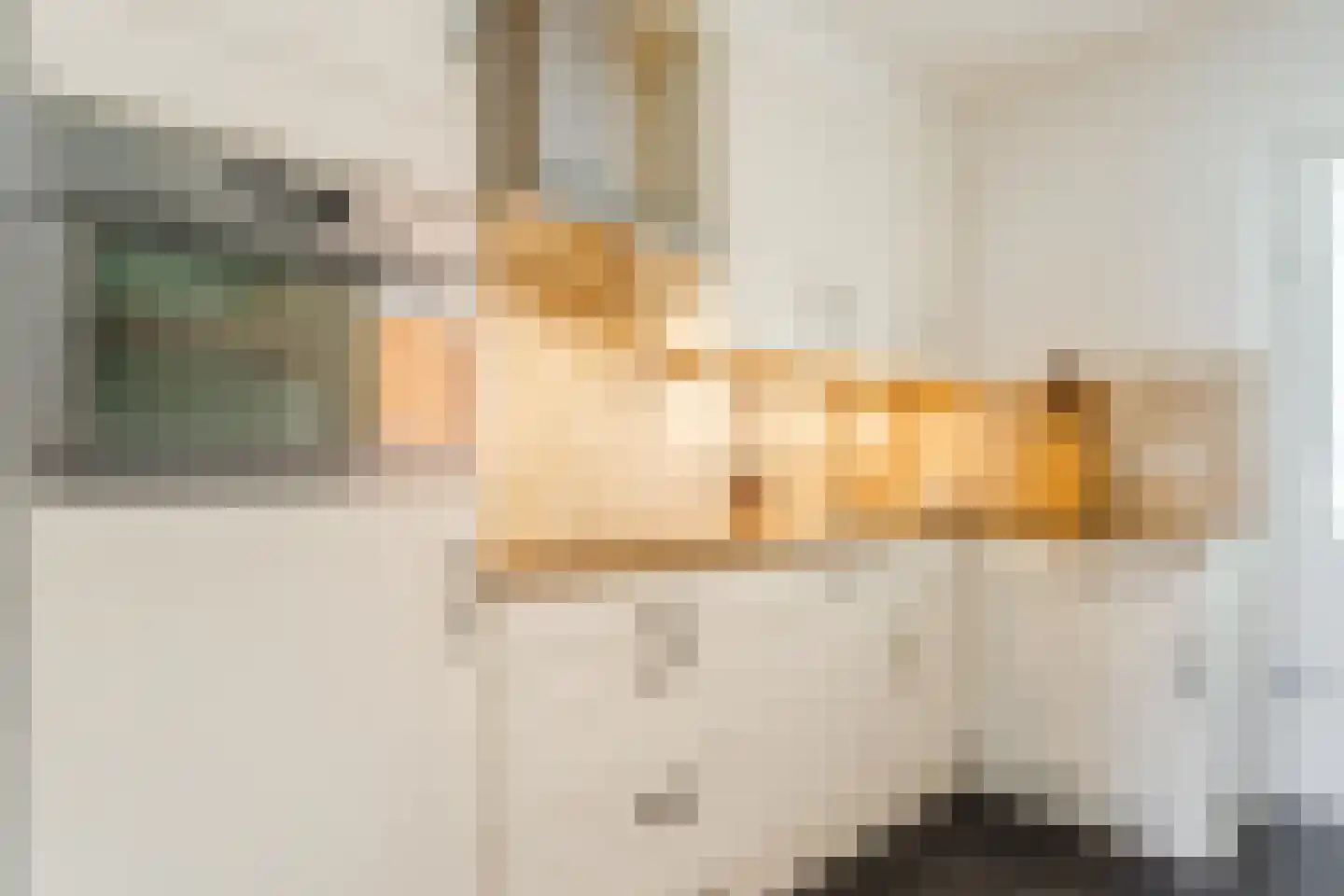 Julianastraat 6 Lichtenvoorde thumbnail 17
