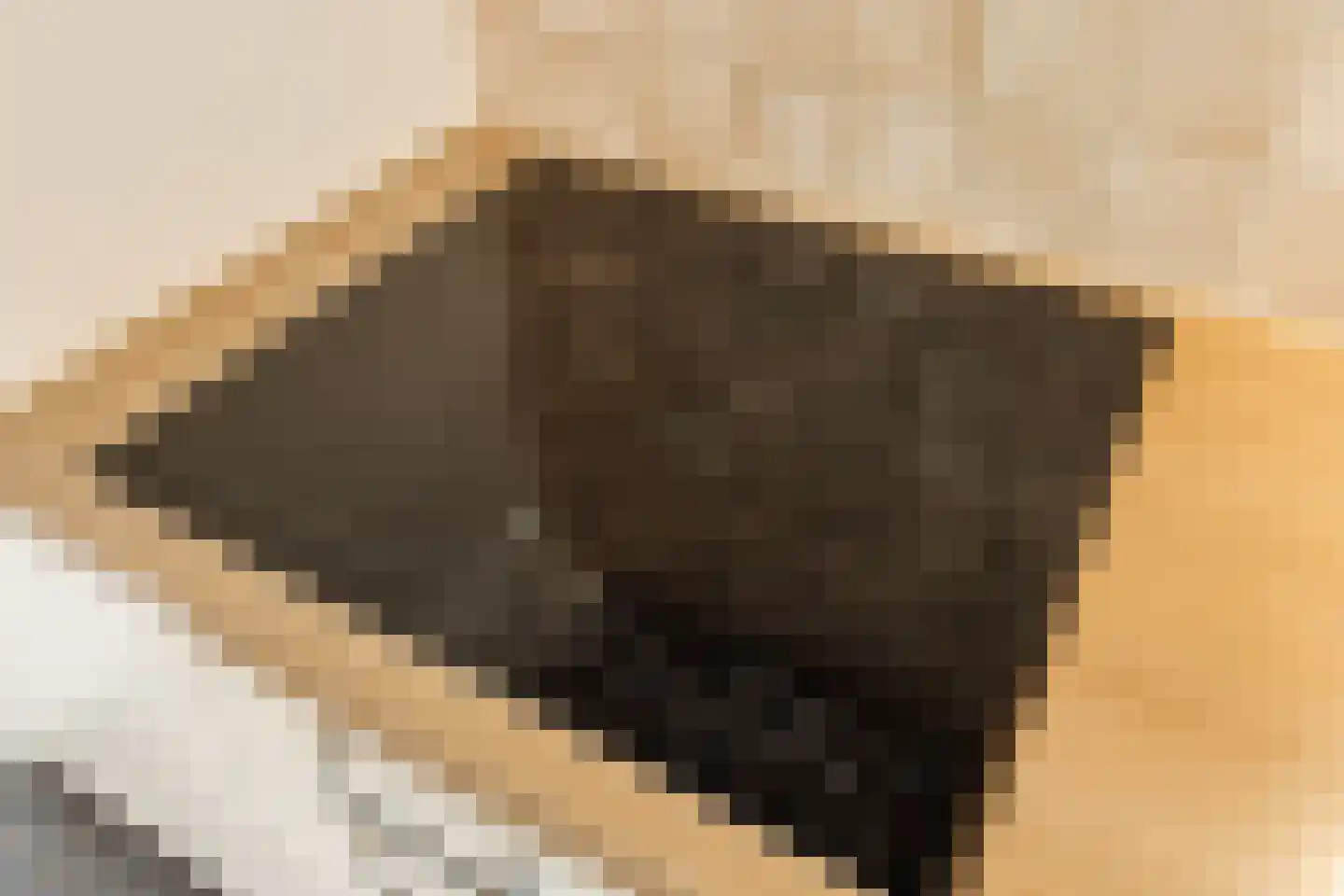 Julianastraat 6 Lichtenvoorde thumbnail 20