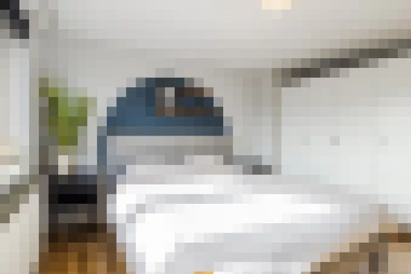 Julianastraat 6 Lichtenvoorde thumbnail 36