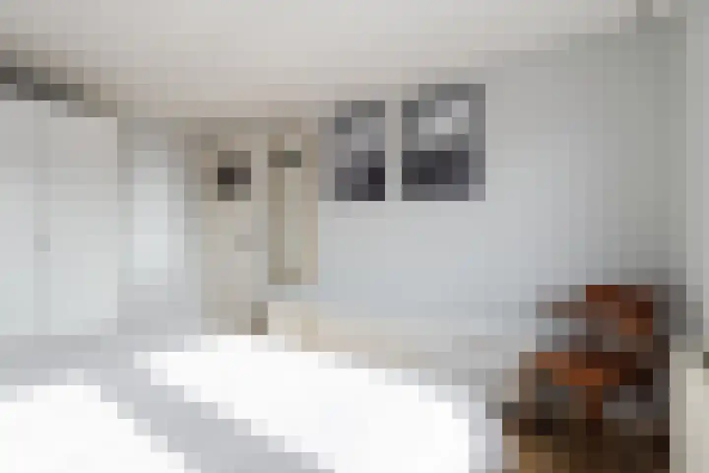 Julianastraat 6 Lichtenvoorde thumbnail 38