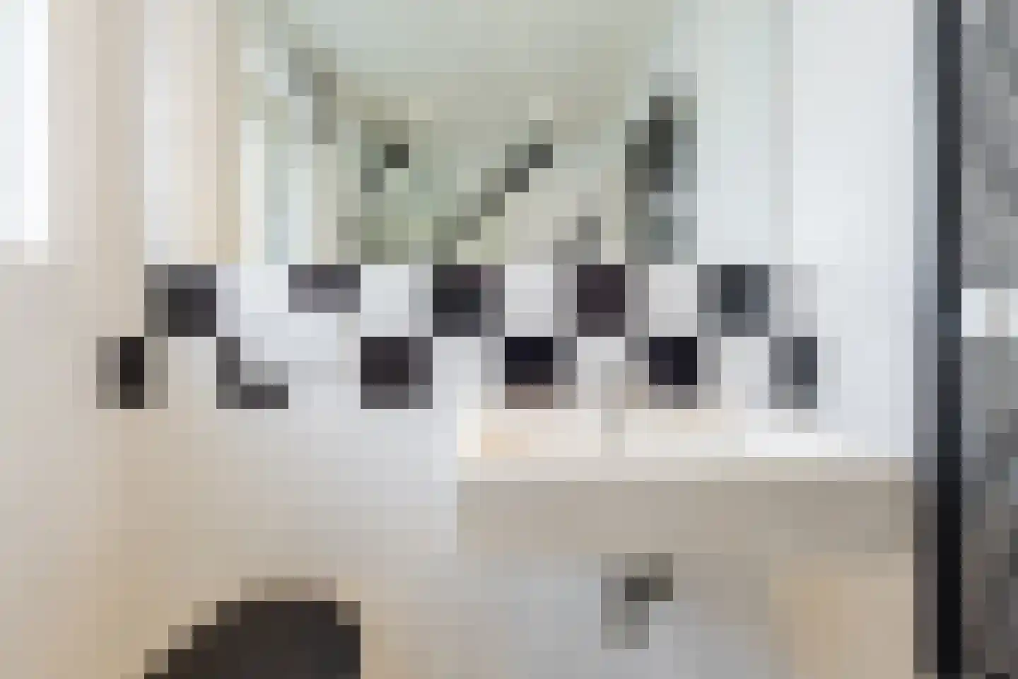 Julianastraat 6 Lichtenvoorde thumbnail 43